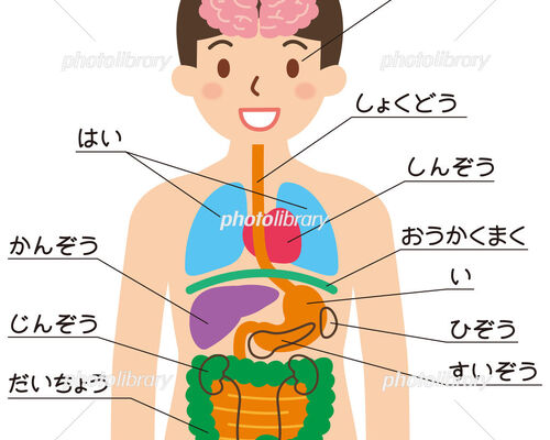 慢性内臓