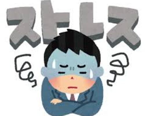 ストレス男